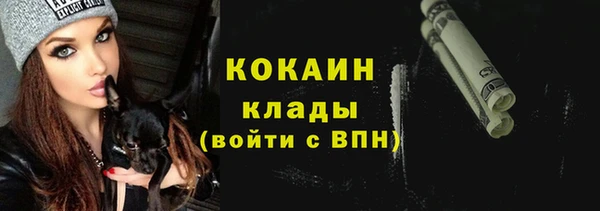 соль ск Алзамай