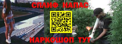 PSILOCYBIN Бердск