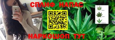 сатива Белореченск