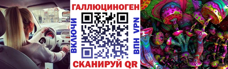 где купить наркоту  Кондопога  Псилоцибиновые грибы MAGIC MUSHROOMS 