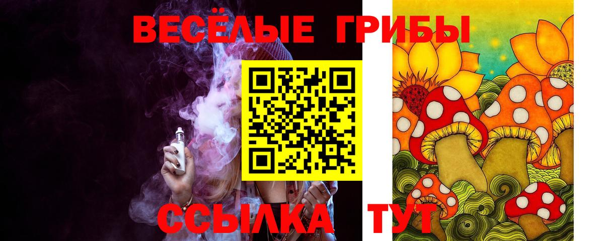 Псилоцибиновые грибы Psilocybe  Вход с VPN  Кондопога 