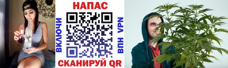 Каннабис MAZAR Кондопога