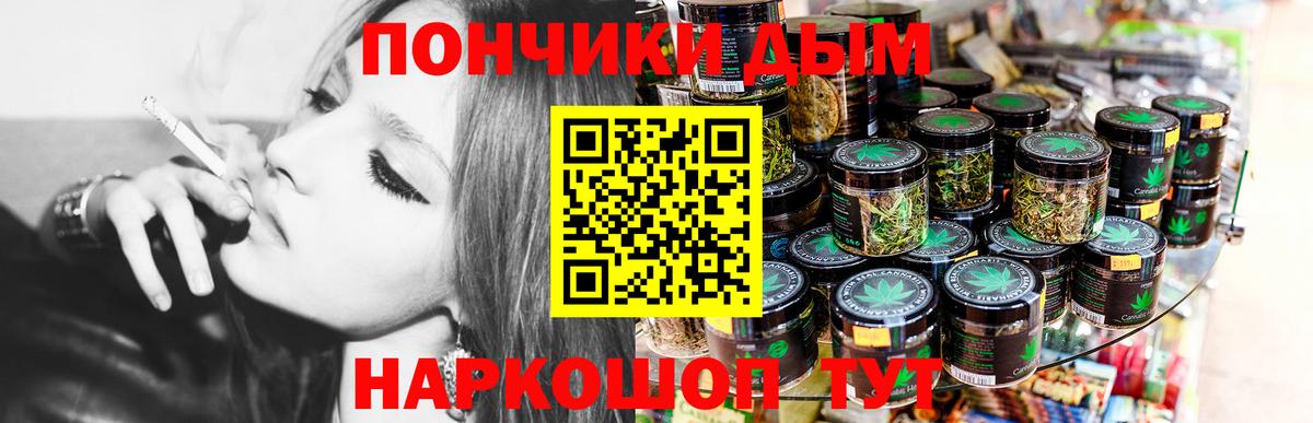 Шишки марихуана семена Кондопога